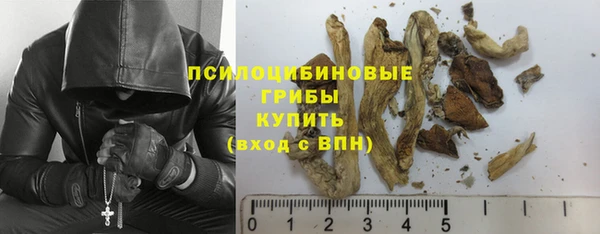 ПСИЛОЦИБИНОВЫЕ ГРИБЫ Володарск